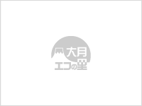 エコの里のさくらが開花しました。