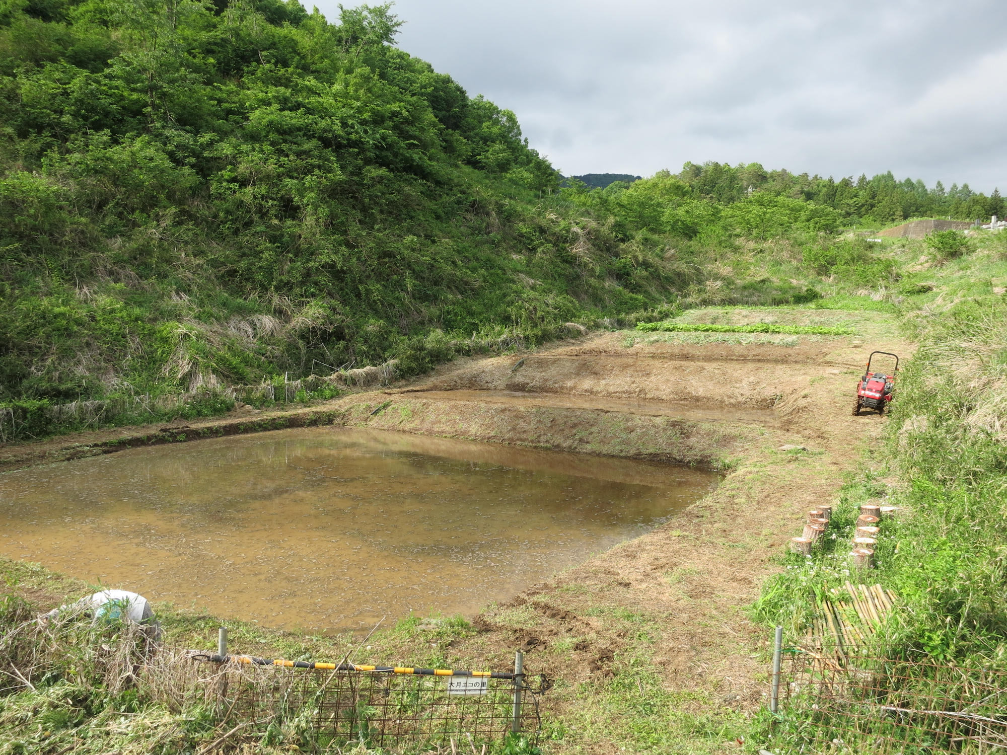 棚田復活！田植えをやります！