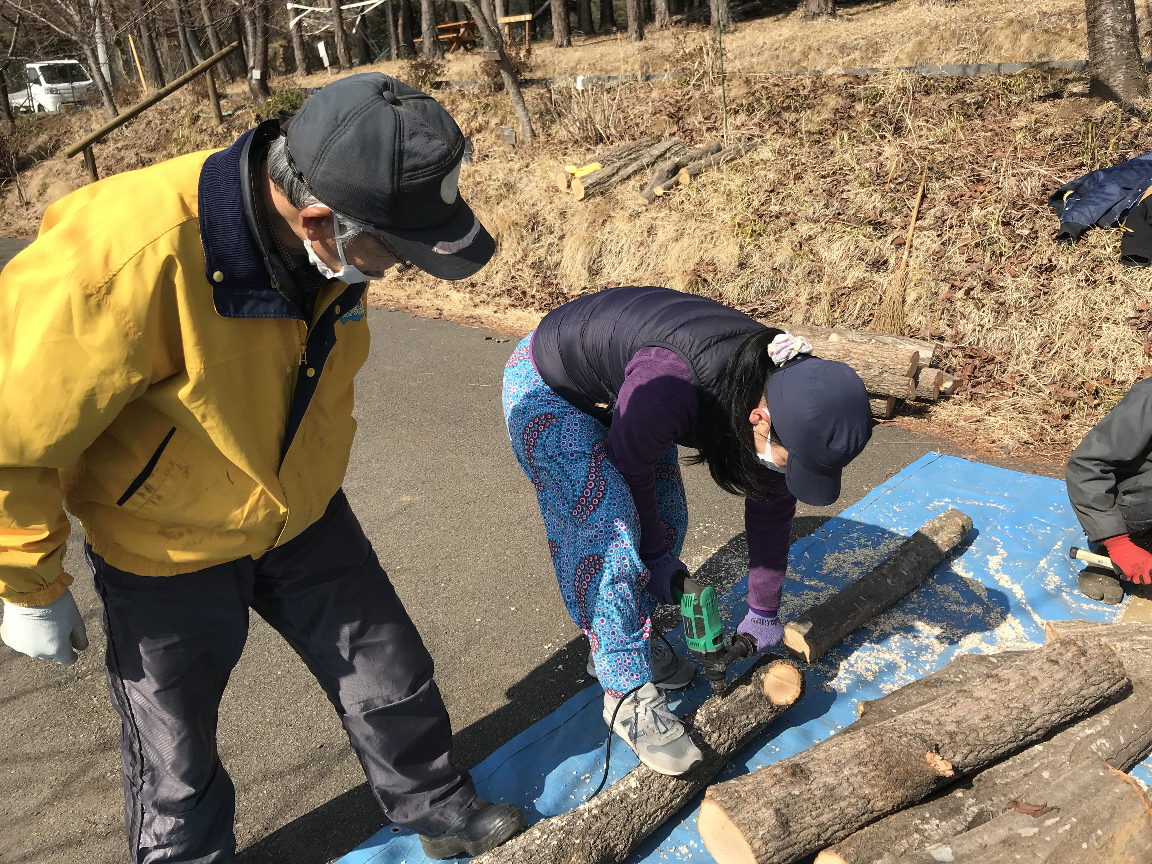 シイタケ植菌・薪割り体験のご案内